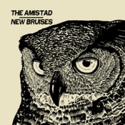 The Amistad/ New Bruisers  - AIV split 7 inch